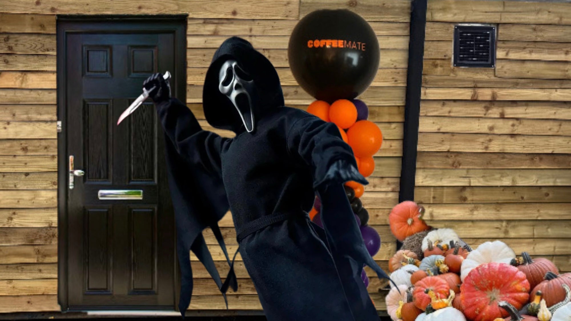 HAVANT TEEN FRIGHT NIGHTđ